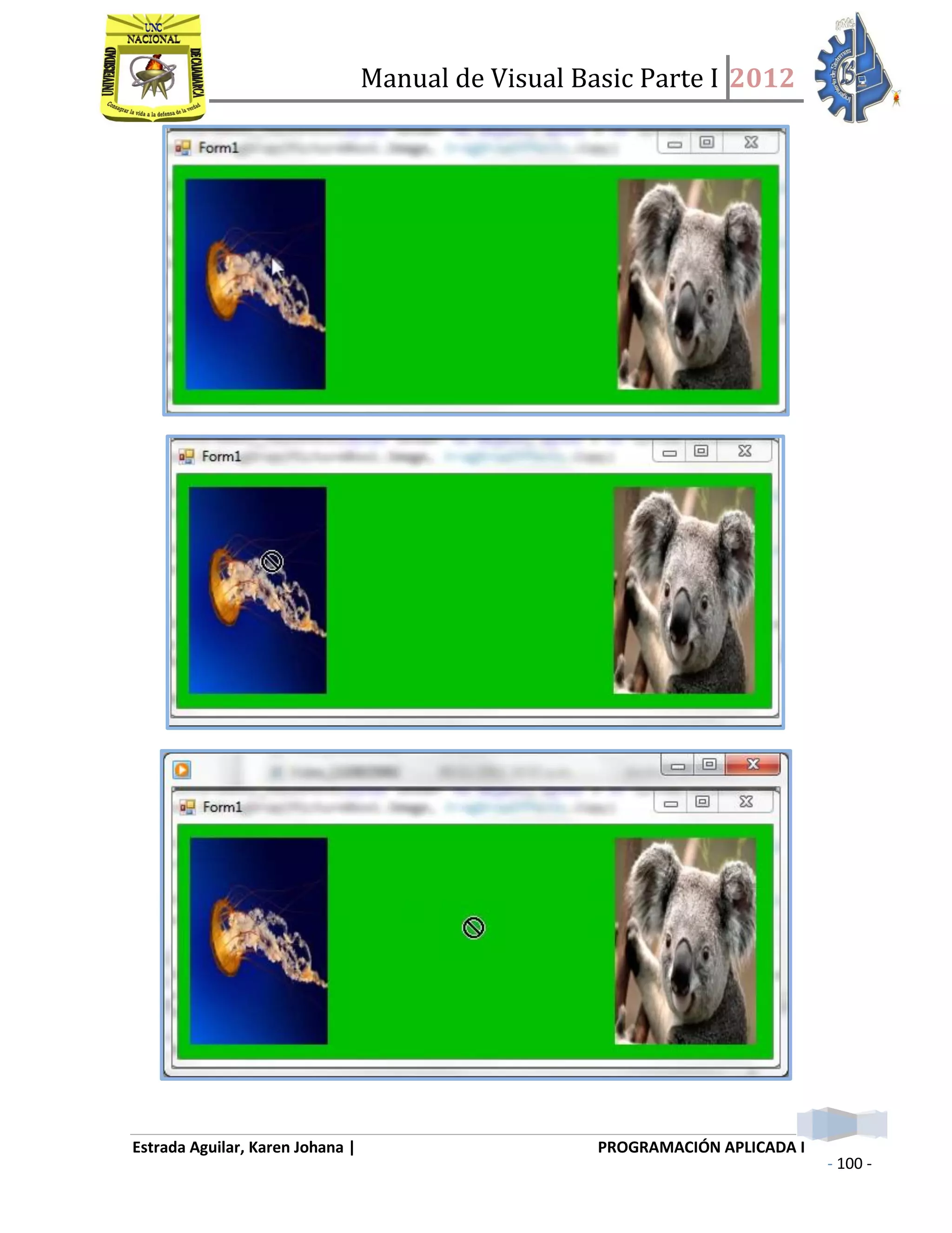 Manual de Visual Basic Parte I 2012
Estrada Aguilar, Karen Johana | PROGRAMACIÓN APLICADA I
- 100 -
 