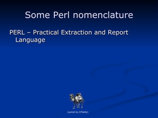 Some Perl nomenclature PERL – Practical Extraction and Report Language (camel by O’Reilly) 