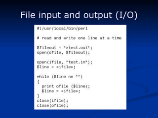 File input and output (I/O) 