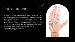 Is Your Future Written in the Lines of Your Palm?