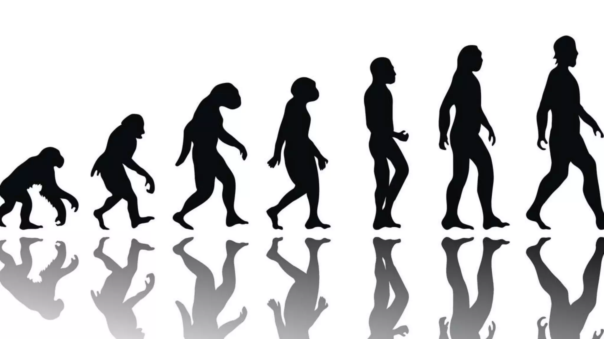 You Cant Change Shit Without Changing Shit