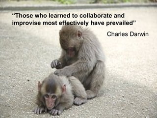 “ Those who learned to collaborate and improvise most effectively have prevailed” Charles Darwin 