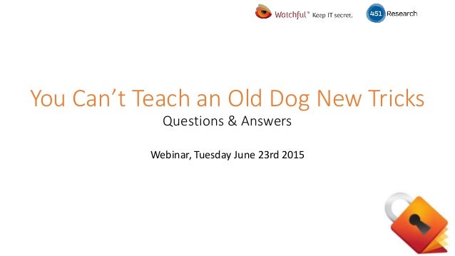 Can You Teach An Old Dog New Tricks