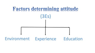 (3Es) 
Environment Experience Education 
 
