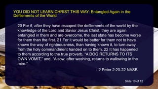 20 For if, after they have escaped the defilements of the world by the
knowledge of the Lord and Savior Jesus Christ, they are again
entangled in them and are overcome, the last state has become worse
for them than the first. 21 For it would be better for them not to have
known the way of righteousness, than having known it, to turn away
from the holy commandment handed on to them. 22 It has happened
to them according to the true proverb, “A DOG RETURNS TO ITS
OWN VOMIT,” and, “A sow, after washing, returns to wallowing in the
mire.”
- 2 Peter 2:20-22 NASB
YOU DID NOT LEARN CHRIST THIS WAY: Entangled Again in the
Defilements of the World
Slide 10 of 12
 