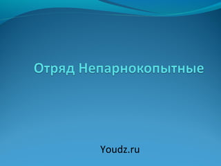 Youdz.ru
 