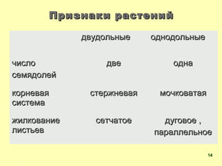 Признаки растенийПризнаки растений
двудольныедвудольные однодольныеоднодольные
числочисло
семядолейсемядолей
дведве однаодна
корневаякорневая
системасистема
стержневаястержневая мочковатаямочковатая
жилкованиежилкование
листьевлистьев
сетчатоесетчатое дуговое ,дуговое ,
параллельноепараллельное
1414
 