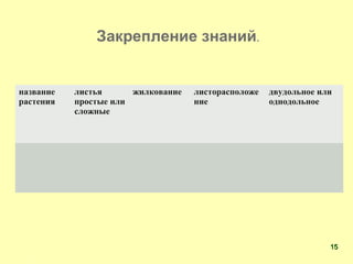название
растения
листья
простые или
сложные
жилкование листорасположе
ние
двудольное или
однодольное
Закрепление знаний.
1515
 