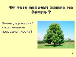От чего зависит жизнь наОт чего зависит жизнь на
Земле ?Земле ?
Почему у растений
такая мощная
громадная крона?
44
 