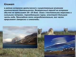 Климат
в районе островов арктический с существенным влиянием
циклонической деятельности. Безморозный период на островах
обычно не превышает 20—25 дней. Зима с постоянными морозами и
сильными ветрами, порождающими пургу, властвует большую
часть года. Прохладное лето непродолжительно, его часто
прерывают заморозки и снегопады.
 