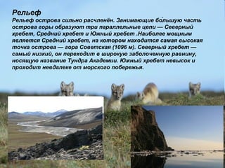 Рельеф
Рельеф острова сильно расчленён. Занимающие бо́льшую часть
острова горы образуют три параллельные цепи — Северный
хребет, Средний хребет и Южный хребет .Наиболее мощным
является Средний хребет, на котором находится самая высокая
точка острова — гора Советская (1096 м). Северный хребет —
самый низкий, он переходит в широкую заболоченную равнину,
носящую название Тундра Академии. Южный хребет невысок и
проходит невдалеке от морского побережья.
 