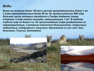 Воды
Всего на острове более 140 рек и ручьёв протяжённостью более 1 км
и 5 рек протяжённостью более 50 км. Из приблизительно 900 озёр,
бо́льшая часть которых находится в Тундре Академии (север
острова), 6 озёр имеют площадь, превышающую 1 км². В среднем
глубина озёр не более 2 м. По происхождению озёра разделяются на
термокарстовые, к которым относится большинство, старичные,
ледниковые, подпрудные и лагунные. Крупнейшие из них это: Кмо,
Комсомол, Гагачье, Заповедное.
 