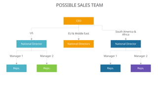 POSSIBLE SALES TEAM
CEO
Reps. Reps.
National Director National Directors National Director
US EU & Middle East
South America &
Africa
Manager 1 Manager 2
Reps. Reps.
Manager 1 Manager 2
 