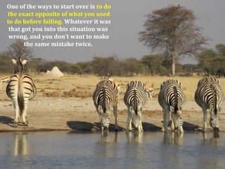 One of the ways to start over is to do
the exact opposite of what you used
to do before failing. Whatever it was
that got you into this situation was
wrong, and you don't want to make
the same mistake twice.
 
