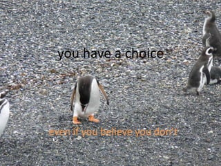 you have a choice




even if you believe you don’t
 