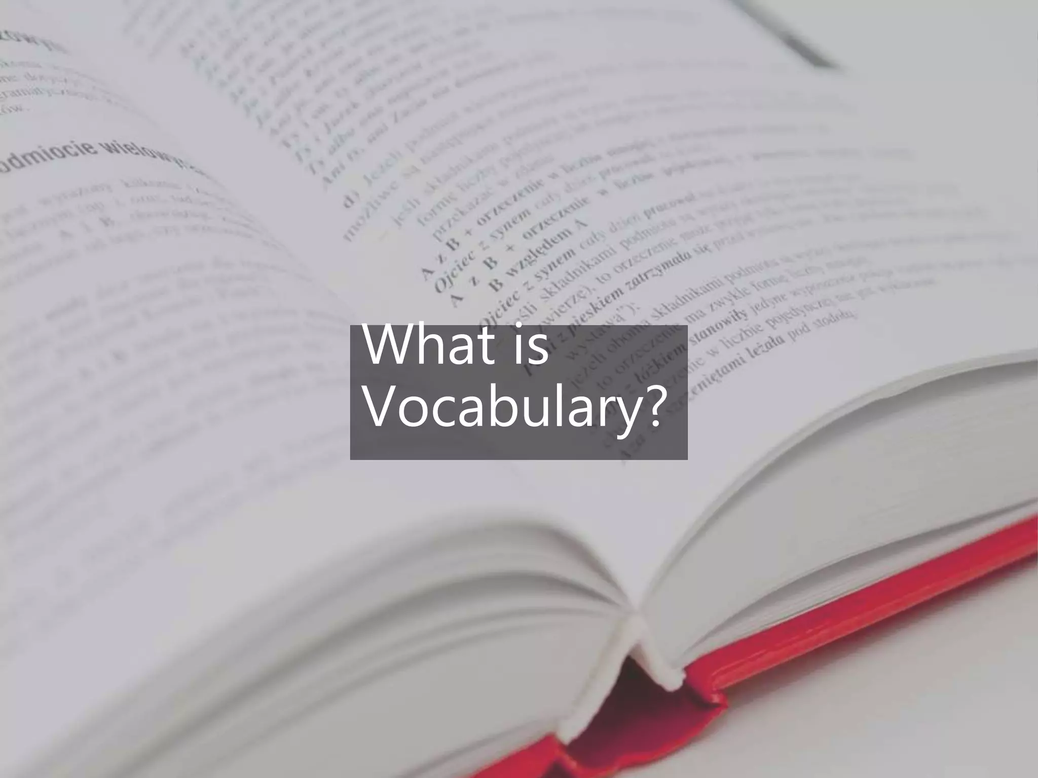 What is
Vocabulary?
 