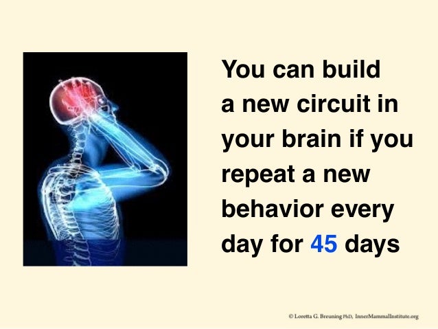 You Have Power Over Your Brain - 
