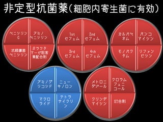 非定型抗菌薬(細胞内寄生菌に有効)
アミノ
ペニシリン
βラクタ
マーゼ阻害
薬配合剤
抗緑膿菌
ペニシリン
ペニシリン
G
2nd
セフェム
4th
セフェム
3rd
セフェム
1st
セフェム
バンコ
マイシン
リファン
ピシン
モノバク
タム
カルバペ
ネム
ニュー
キノロン
テトラ
サイクリ
ン
マクロ
ライド
アミノグ
リコシド
クロラム
フェニ
コール
ST合剤
クリンダ
マイシン
メトロニ
ダゾール
 
