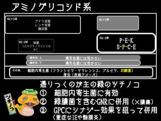 アミノグリコシド系
ブドウ球菌
レンサ球菌
腸球菌
淋菌
（スペクチノマイシンの
み）
嫌気性菌には効かない
嫌気性菌には効かない
細胞内寄生菌（フランシセラ・ツラレンシス、ブルセラ、抗酸菌）
原虫（赤痢アメーバ）
G(+)桿G(+)球
嫌気性：上
P-E-K
S-P-C-E
G(-)桿
G(-)球
嫌気性：下
その他
憑りつくのが主の緑のツチノコ
① 細胞内寄生菌に有効
② 緑膿菌を含むGNRに併用（×膿瘍）
③ GPCにシナジー効果を狙って併用
（重症なIEや髄膜炎）
 