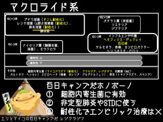 マクロライド系
ブドウ球菌（すこし耐性化）
レンサ球菌（A群β溶連菌（耐性化）、
肺炎球菌（耐性化））
腸球菌
ナイセリア属（髄膜炎菌、
淋菌）、モラクセラ
バチラス属（炭疽菌）
リステリア
ジフテリア
細胞内寄生菌（マイコプラズマ（耐性化）、クラミジア、レジオネラ、抗酸菌（MAC）、
バルトネラ・ヘンセレ） スピロヘータ（梅毒、ボレリア・ブルグドルフェリ）、原虫（トキソプラズマ、バベシア）
G(+)桿
G(+)球
嫌気性：上
インフルエンザ桿菌
ヘモフィリス・デュクレイ
百日咳
サルモネラ、赤痢、カンピロバクター
ヘリコバクタ・ピロリ
G(-)桿
G(-)球
嫌気性：下
その他
百日キャンプだホノボーノ
① 細胞内寄生菌に有効
② 非定型肺炎やSTDに使う
③ 耐性化でエンピリック治療は×
エリとマイコの百日キャンプだ レジクラジフ
 