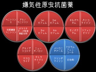 嫌気性原虫抗菌薬
アミノ
ペニシリン
βラクタ
マーゼ阻害
薬配合剤
抗緑膿菌
ペニシリン
ペニシリン
G
2nd
セフェム
4th
セフェム
3rd
セフェム
1st
セフェム
バンコ
マイシン
リファン
ピシン
モノバク
タム
カルバペ
ネム
ニュー
キノロン
テトラ
サイクリ
ン
マクロ
ライド
アミノグ
リコシド
クロラム
フェニ
コール
ST合剤
クリンダ
マイシン
メトロニ
ダゾール
 