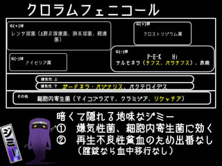 クロラムフェニコール
暗くて隠れる地味なジミー
① 嫌気性菌、細胞内寄生菌に効く
② 再生不良性貧血のため出番なし
（膣錠なら血中移行なし）
レンサ球菌（A群β溶連菌、肺炎球菌、緑連
菌）
ナイセリア属
クロストリジウム属
ガードネラ・バジナリス、バクテロイデス
細胞内寄生菌（マイコプラズマ、クラミジア、リケッチア）
G(+)桿
G(+)球
嫌気性：上
P-E-K Hi
サルモネラ（チフス、パラチフス）、赤痢
G(-)桿
G(-)球
嫌気性：下
その他
 