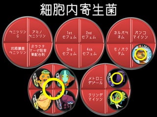 細胞内寄生菌
アミノ
ペニシリン
βラクタ
マーゼ阻害
薬配合剤
抗緑膿菌
ペニシリン
ペニシリン
G
2nd
セフェム
4th
セフェム
3rd
セフェム
1st
セフェム
バンコ
マイシン
リファン
ピシン
モノバク
タム
カルバペ
ネム
ニュー
キノロン
テトラ
サイクリ
ン
マクロ
ライド
アミノグ
リコシド
クロラム
フェニ
コール
ST合剤
クリンダ
マイシン
メトロニ
ダゾール
〇
〇 〇
〇
 