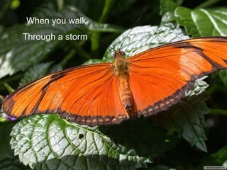 When you walk Through a storm  