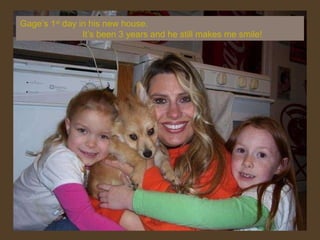 Gage’s 1 st  day in his new house.  It’s been 3 years and he still makes me smile! 