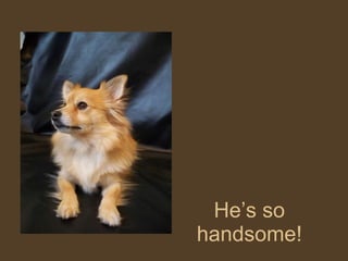 He’s so handsome! 