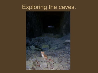 Exploring the caves. 