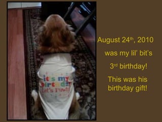 August 24 th , 2010 was my lil’ bit’s 3 rd  birthday! This was his birthday gift! 