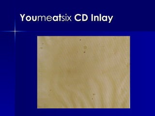 You me at six  CD Inlay 