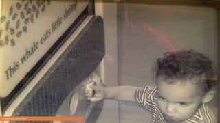 This whale eats little shrimp