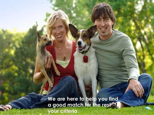 About dog lovers dating online