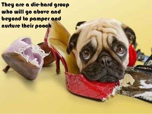 Learn about Dog lovers dating