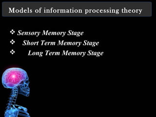 Information Processing and Cognitive Theories of Learning | PPT