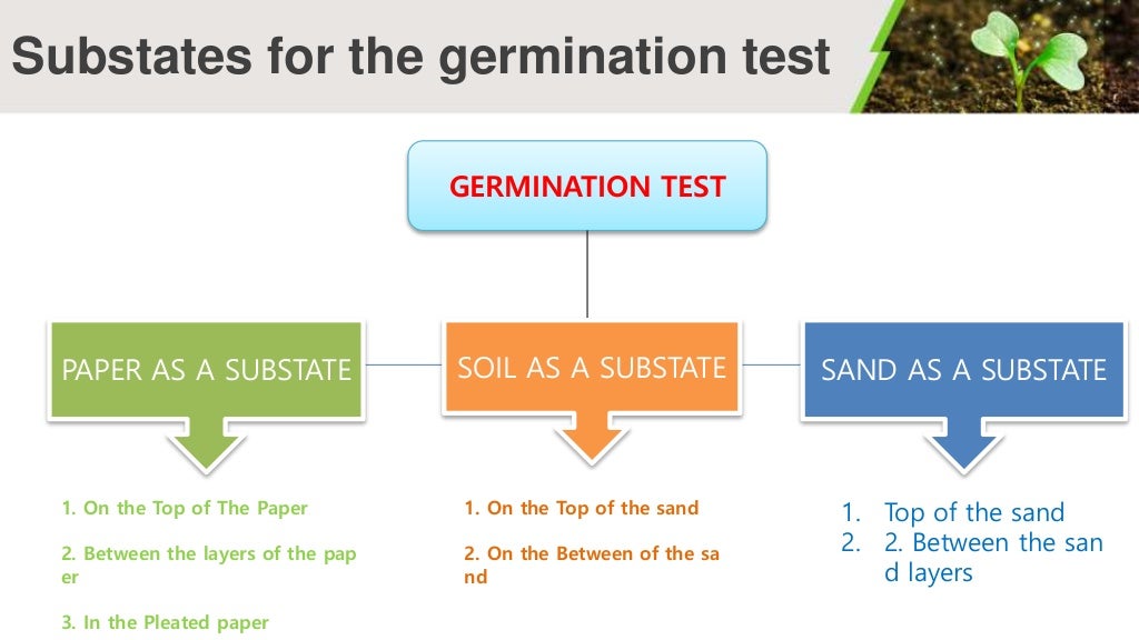 Testing for seed germination