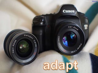 Photo Credit: Wilson Hui
 