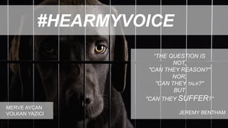 “THE QUESTION IS
NOT,
"CAN THEY REASON?"
NOR,
"CAN THEY TALK?"
BUT
"CAN THEY SUFFER?”
JEREMY BENTHAM
#HEARMYVOICE
MERVE AYCAN
VOLKAN YAZICI
 