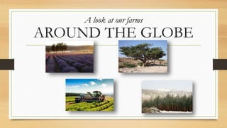 AROUND THE GLOBE
A look at our farms
 