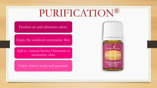 PURIFICATION®
Freshen air and eliminate odors.
Enjoy the outdoors annoyance free.
Add to Animal Scents Ointment to
moisturize skin.
Enjoy cineol, neral, and geraniol.
 