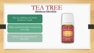 Has an uplifting and fresh,
distinctive smell.
Helps maintain healthy-looking hair
and scalp.
Reduces the appearance of
blemishes.
TEA TREEMelaleuca Alternifolia
 