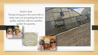 Seed to Seal
Young Living goes the extra mile to
make sure you are getting the best
quality and they will not sacrifice
quality for quantity.
 
