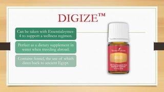 DIGIZE™
Can be taken with Essentialzymes-
4 to support a wellness regimen.
Perfect as a dietary supplement in
water when traveling abroad.
Contains fennel, the use of which
dates back to ancient Egypt.
 
