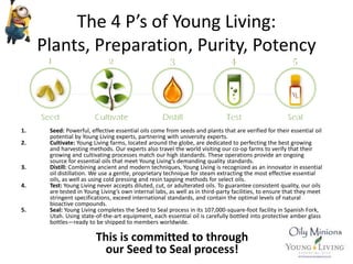 The 4 P’s of Young Living:
Plants, Preparation, Purity, Potency
1. Seed: Powerful, effective essential oils come from seeds and plants that are verified for their essential oil
potential by Young Living experts, partnering with university experts.
2. Cultivate: Young Living farms, located around the globe, are dedicated to perfecting the best growing
and harvesting methods. Our experts also travel the world visiting our co-op farms to verify that their
growing and cultivating processes match our high standards. These operations provide an ongoing
source for essential oils that meet Young Living’s demanding quality standards.
3. Distill: Combining ancient and modern techniques, Young Living is recognized as an innovator in essential
oil distillation. We use a gentle, proprietary technique for steam extracting the most effective essential
oils, as well as using cold pressing and resin tapping methods for select oils.
4. Test: Young Living never accepts diluted, cut, or adulterated oils. To guarantee consistent quality, our oils
are tested in Young Living’s own internal labs, as well as in third-party facilities, to ensure that they meet
stringent specifications, exceed international standards, and contain the optimal levels of natural
bioactive compounds.
5. Seal: Young Living completes the Seed to Seal process in its 107,000-square-foot facility in Spanish Fork,
Utah. Using state-of-the-art equipment, each essential oil is carefully bottled into protective amber glass
bottles—ready to be shipped to members worldwide.
This is committed to through
our Seed to Seal process!
 
