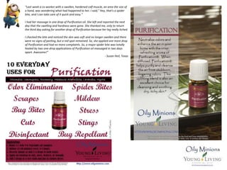 “Last week a co-worker with a swollen, hardened calf muscle, an area the size of
a hand, was wondering what had happened to her. I said," Hey, that's a spider
bite, and I can take care of it quick and easy."
I had her massage in one drop of Purification oil. She left and reported the next
day that the swelling and hardness were gone. She thanked me, only to return
the third day asking for another drop of Purification because her leg really itched.
I checked the bite and noticed the skin was soft and no longer swollen and there
were no signs of peeling, but a red spot remained. So, she applied one more drop
of Purification and had no more complaints. So, a major spider bite was totally
healed by two one-drop applications of Purification oil massaged in two days
apart. Awesome!”
- Susan Heil, Texas
 