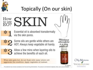 Topically (On our skin)
 