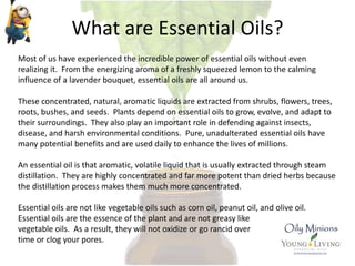 What are Essential Oils?
Most of us have experienced the incredible power of essential oils without even
realizing it. From the energizing aroma of a freshly squeezed lemon to the calming
influence of a lavender bouquet, essential oils are all around us.
These concentrated, natural, aromatic liquids are extracted from shrubs, flowers, trees,
roots, bushes, and seeds. Plants depend on essential oils to grow, evolve, and adapt to
their surroundings. They also play an important role in defending against insects,
disease, and harsh environmental conditions. Pure, unadulterated essential oils have
many potential benefits and are used daily to enhance the lives of millions.
An essential oil is that aromatic, volatile liquid that is usually extracted through steam
distillation. They are highly concentrated and far more potent than dried herbs because
the distillation process makes them much more concentrated.
Essential oils are not like vegetable oils such as corn oil, peanut oil, and olive oil.
Essential oils are the essence of the plant and are not greasy like
vegetable oils. As a result, they will not oxidize or go rancid over
time or clog your pores.
 