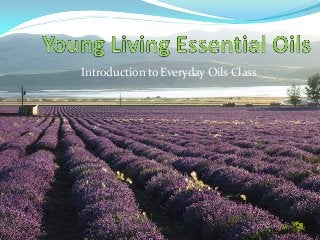 Introduction to Everyday Oils Class

 